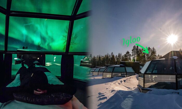 Wildlife Lover Builds 'Glass Igloos' in Arctic to View Northern Lights From the Comfort of Your Bed