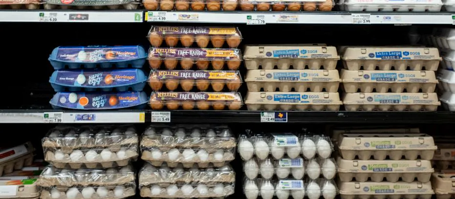 Cartons of eggs are seen for sale in a store in this file photo. (Brandon Bell/Getty Images)