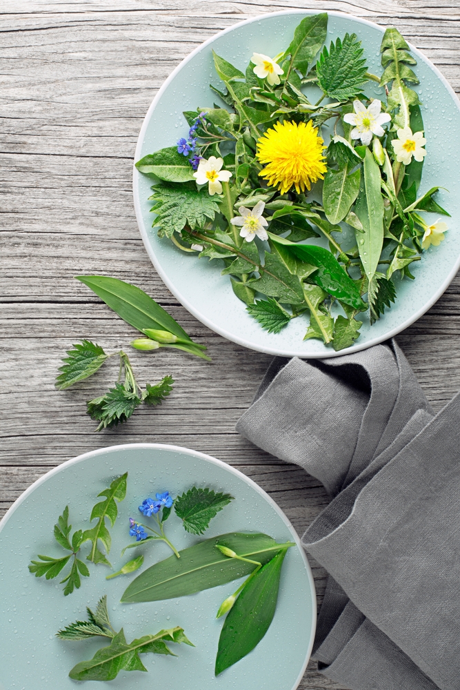 NextImg:Spring Tonics: The Best Cleansing Herbs—and Recipes—to Welcome the New Season