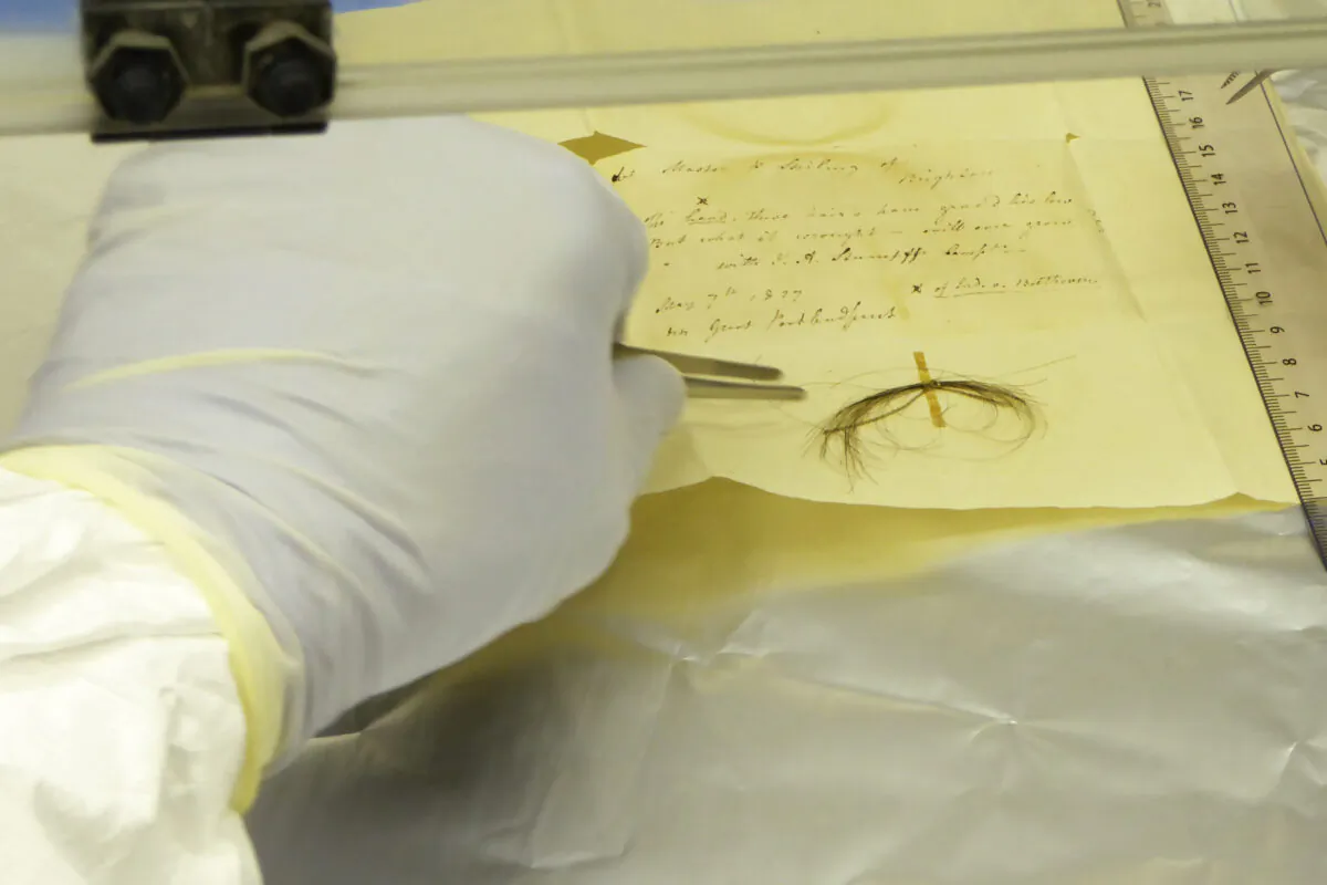 The Stumpff Lock, from composer Ludwig van Beethoven, in a laboratory at the Max Planck Institute for the Science of Human History in Germany in a photo provided in March 2023. (Anthi Tiliakou via AP)