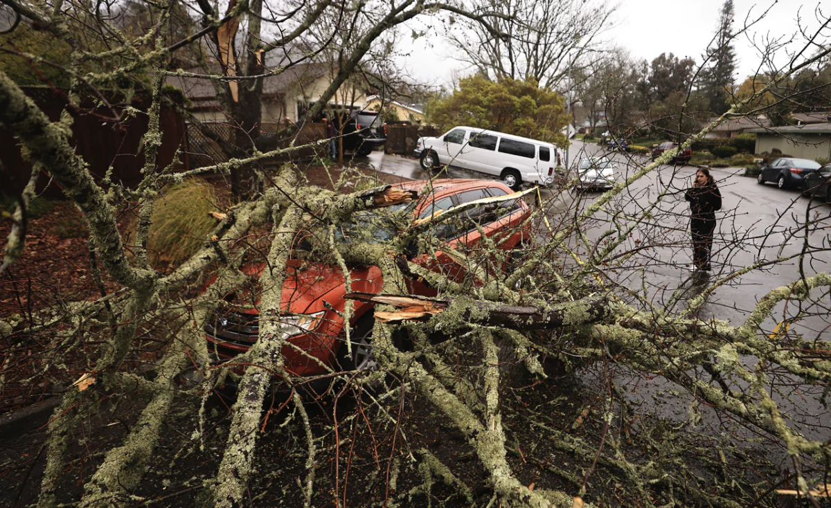 Amber Balog surveys the damage to a friend's vehicle after a saturated and wind-blown limb fell on Monte Verde Drive in Santa Rosa, Calif., on March 21, 2023. (Kent Porter/The Press Democrat via AP)