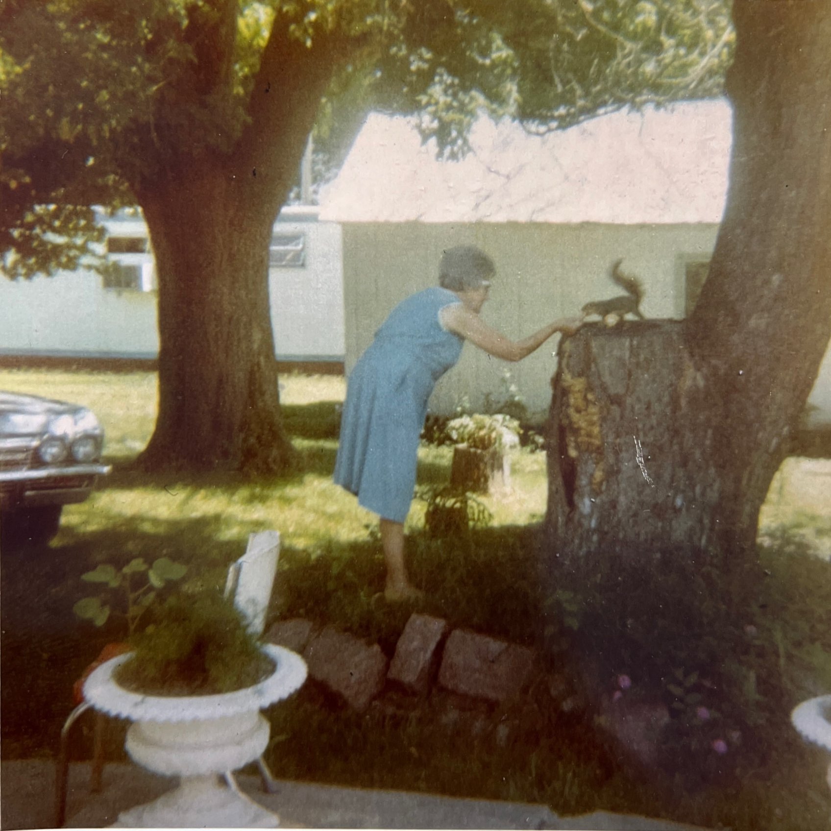 Grandma Edith banana cookies squirrels