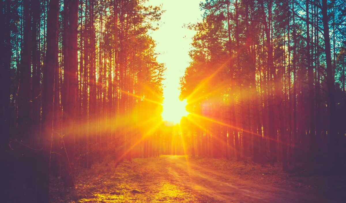 NextImg:The Day the Sunrise Was a Curse