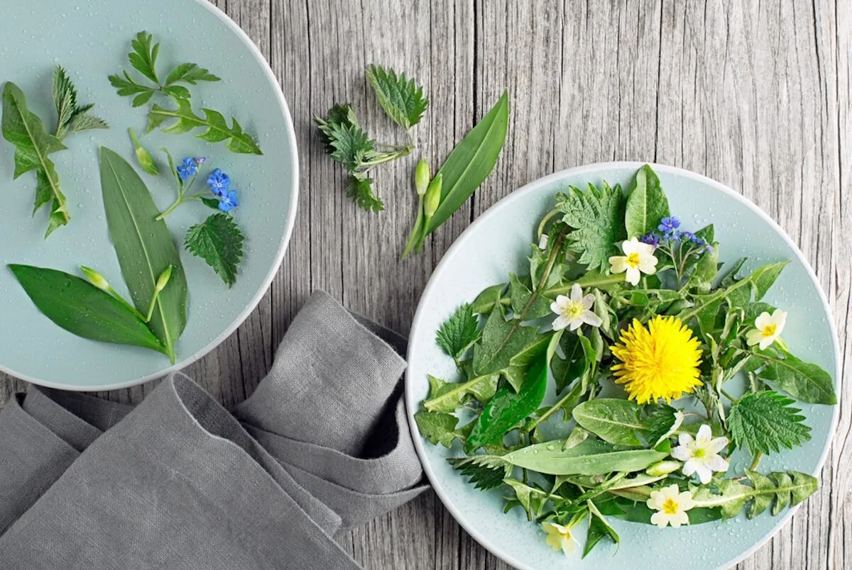 Spring's vibrant, fresh green herbs are both delicious and nutritions additions to your plate.(DUSAN ZIDAR/Shutterstock)