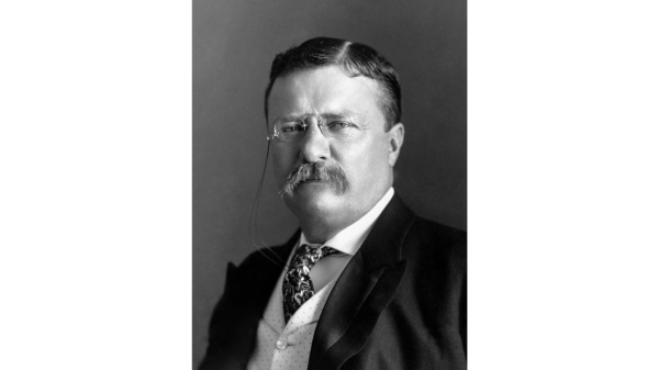 NextImg:How Theodore Roosevelt Saved the Grand Canyon: 'Keep It for Your Children'