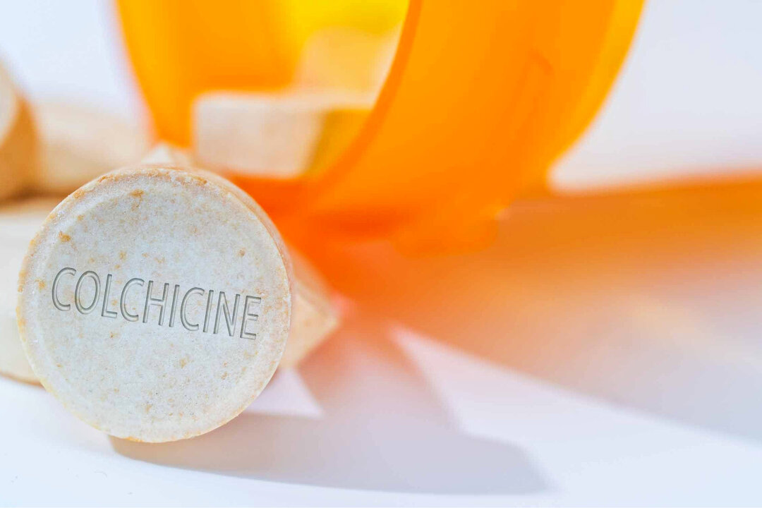(luchschenF/Shutterstock)