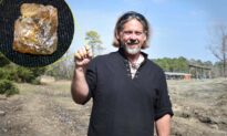 Treasure Hunter Unearths 3.29-Carat Diamond As Large as an ‘English Pea’ at State Park, Plans on Selling It