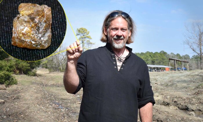 Treasure Hunter Unearths 3.29-Carat Diamond as Large as an 'English Pea' at State Park, Plans on Selling It