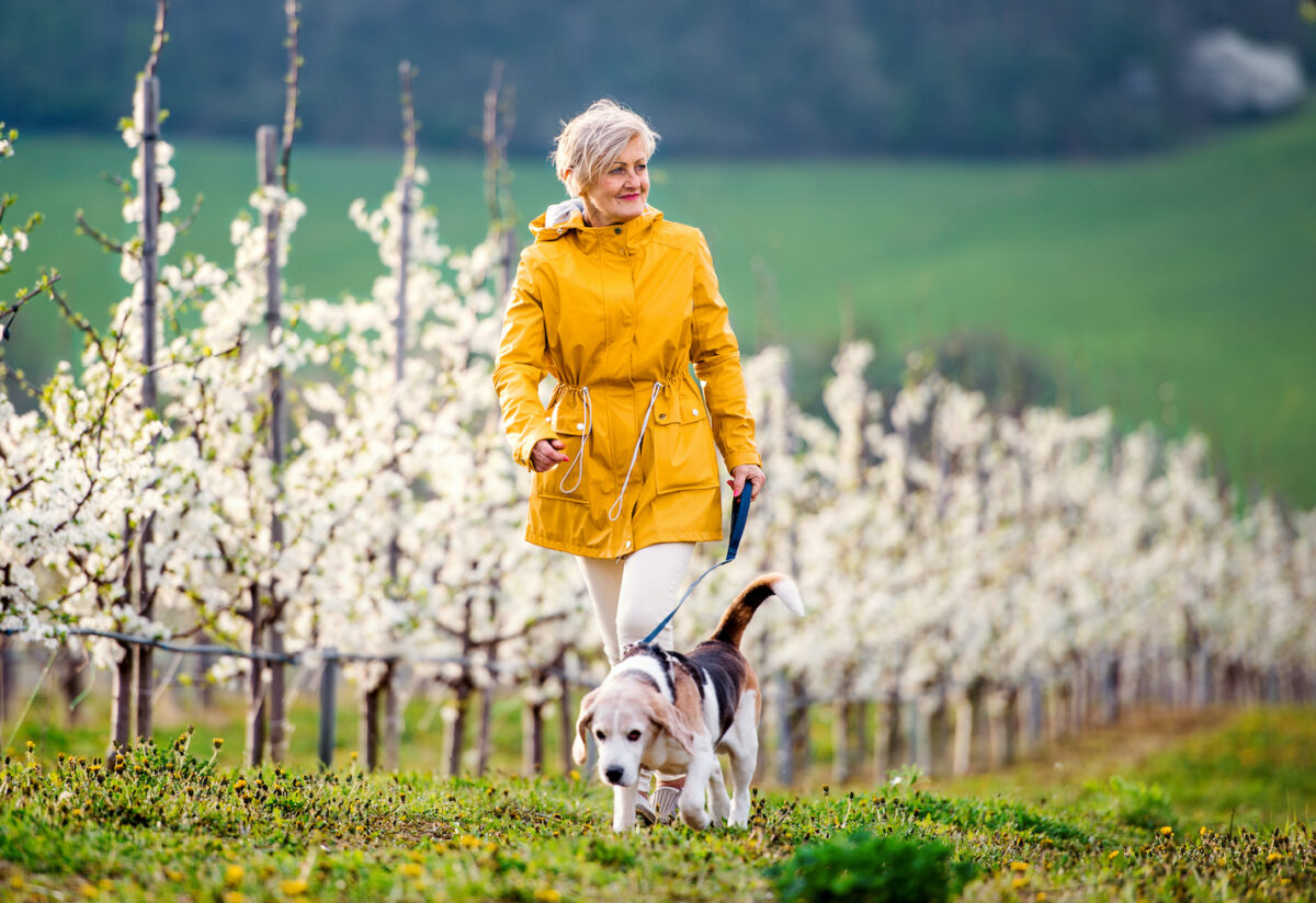 NextImg:Why Walking Is Underrated