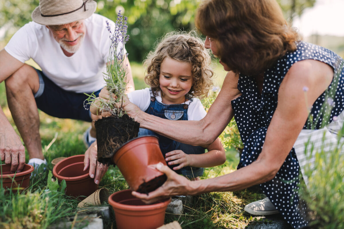 NextImg:Gardens Are Growing Due to Uncertain Times