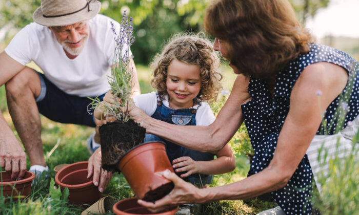 Gardens Are Growing Due to Uncertain Times