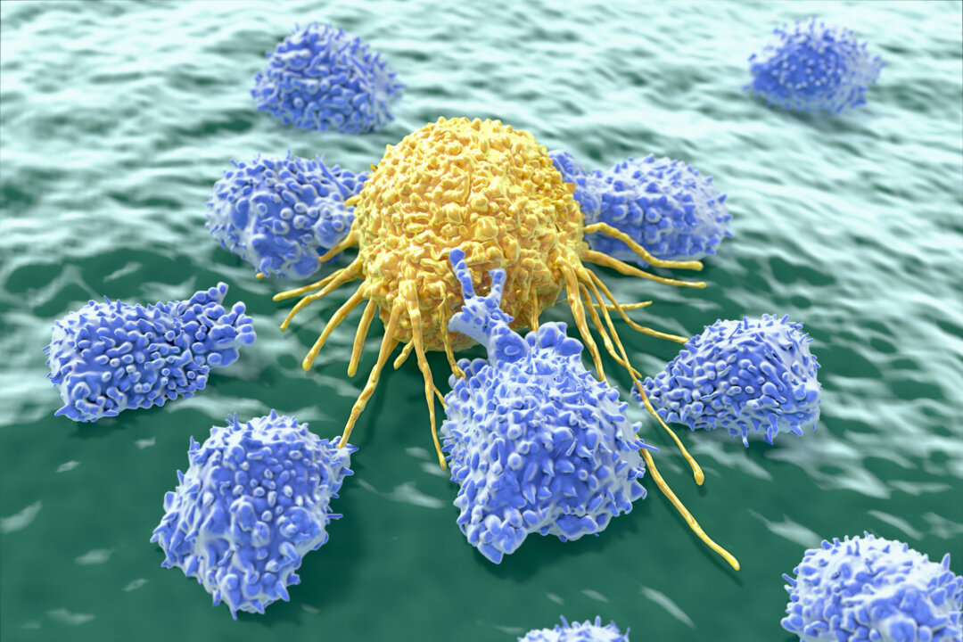 Cancer cell attacked by lymphocytes (Juan Gaertner/Shutterstock)