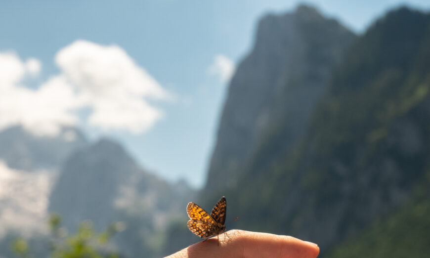After Near-Death Experience, Woman Starts Noticing Gifts, Messages From the Other Side