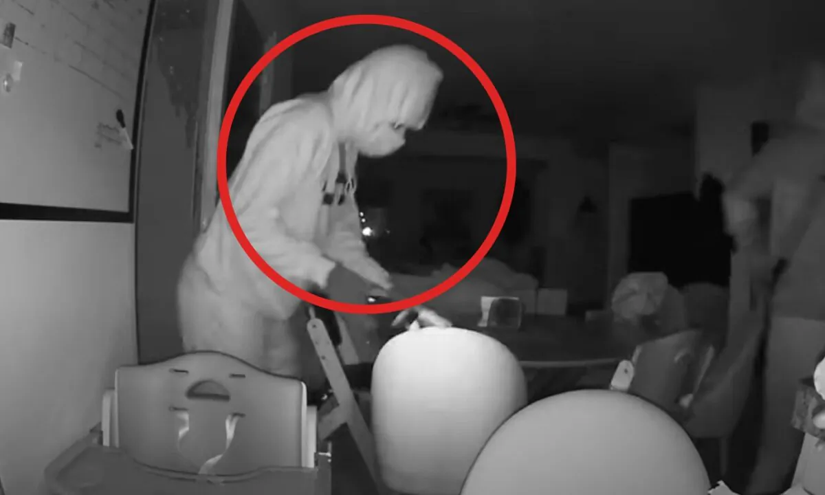 The thieves are seen in the review of a home security camera footage. (Courtesy of San Diego Police Department)