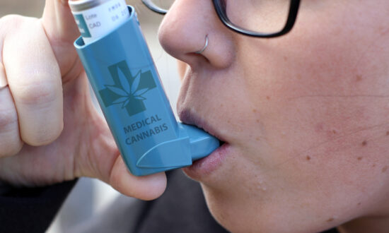 Mounting Research Points to Health Harms From Cannabis