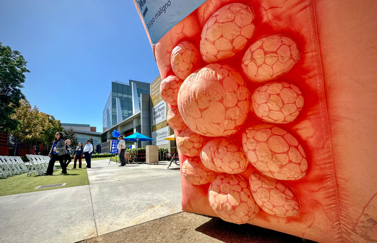 NextImg:St. Joseph’s Hospital Encourages Screening During Colon Cancer Awareness Month