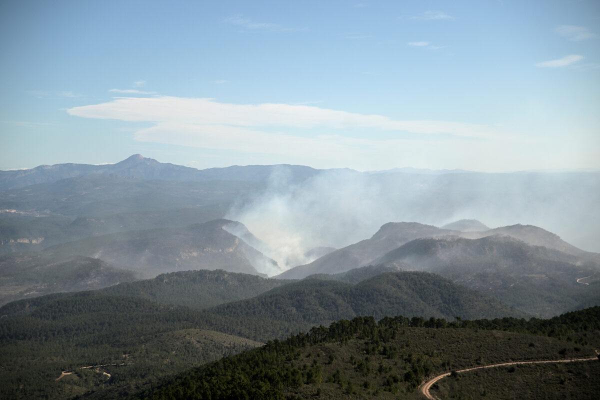 NextImg:Spain Tells 'Fire Tourists' to Stay Away From Forest Blaze