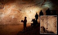 Explorers Uncover Cave in Spain With Over 100 Prehistoric Engravings Depicting Copper Age Pastoral Life