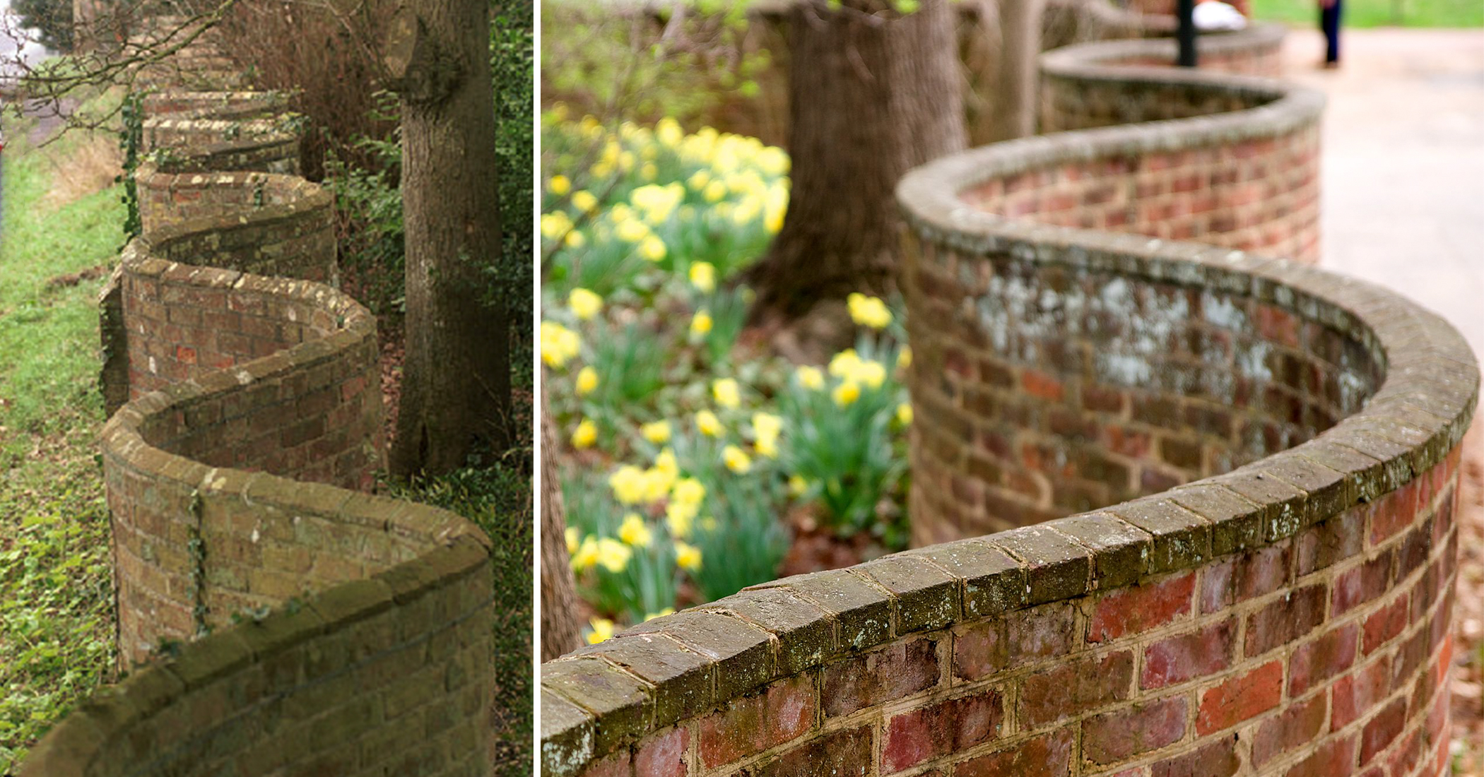 NextImg:The 'crinkle crankle' walls: the historic wavy walls that use fewer bricks and protect plants