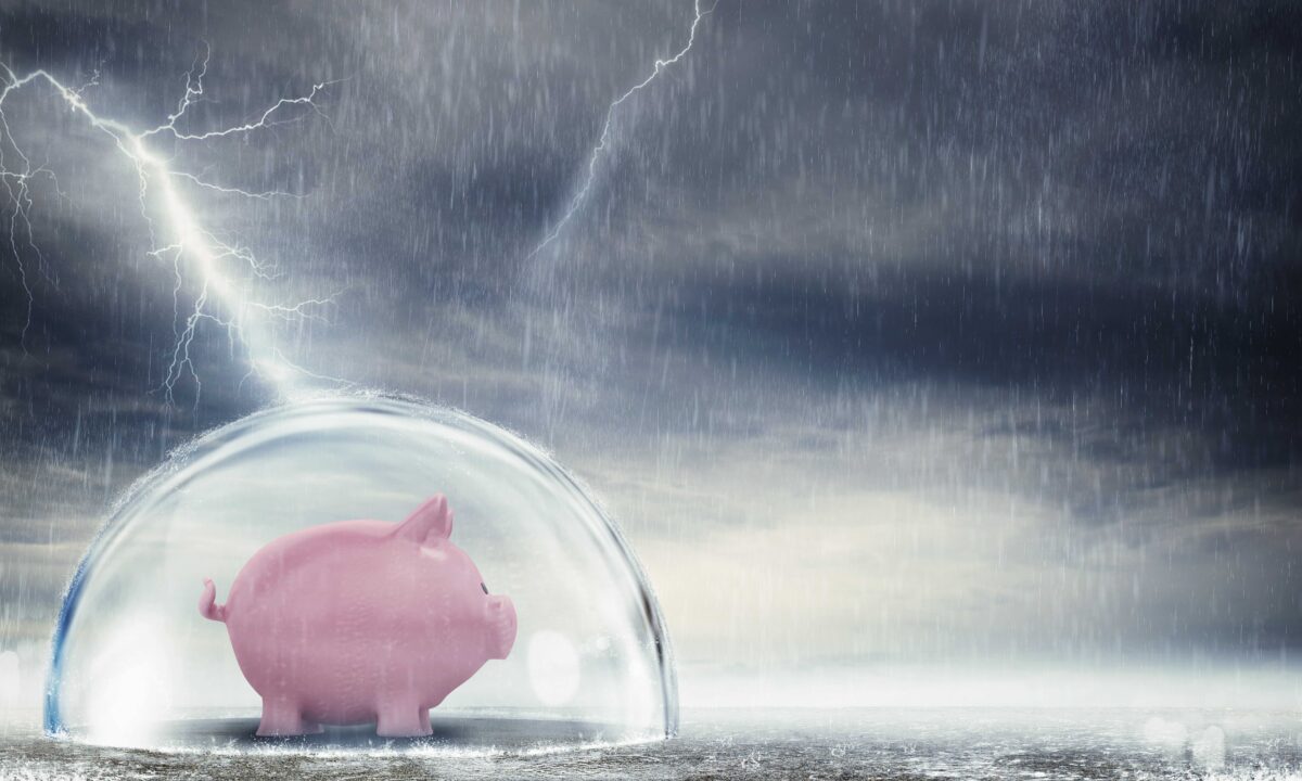 NextImg:How to Shelter in the Financial Storm