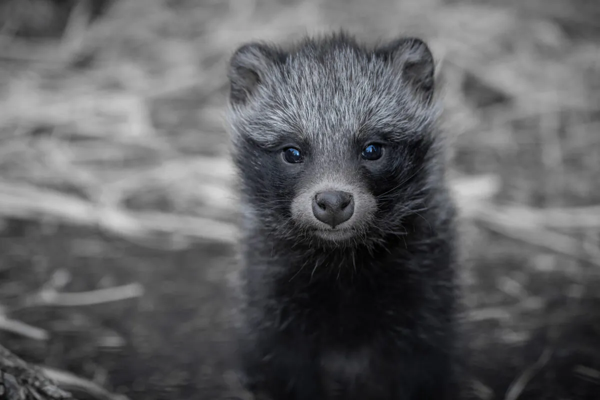 (Nathan Talbot/EyeEm/Getty Images)