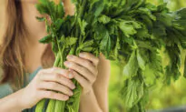 6 Major Health Benefits of Celery, 4 Types of People Should Avoid It