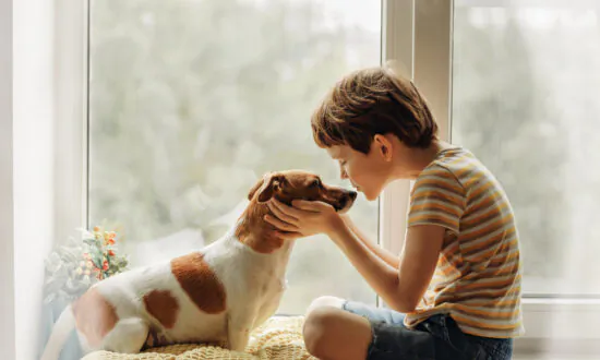 How to Pick a Pet