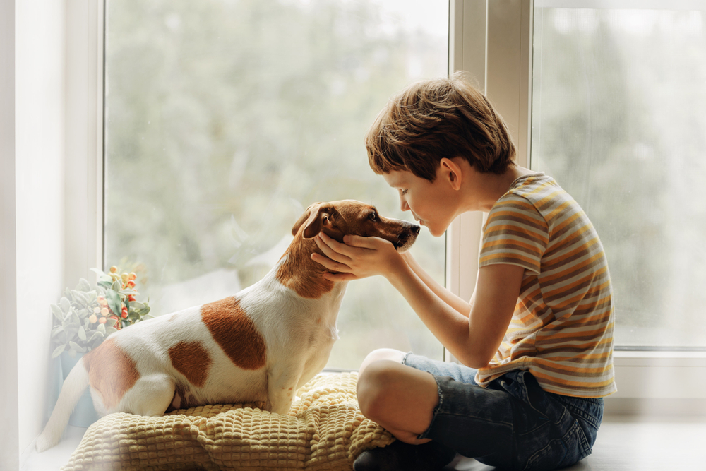NextImg:Furry Family Members