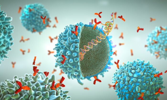 The mRNA Platform: What It Is, What It Means