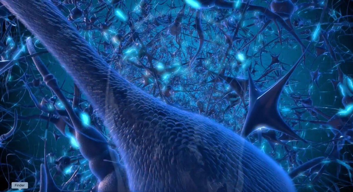 NextImg:Improve Your Brain Health: Advanced Technology Offers Hope and Healing