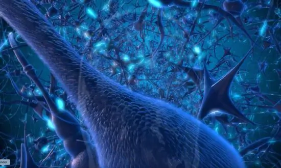 Improve Your Brain Health: Advanced Technology Offers Hope and Healing