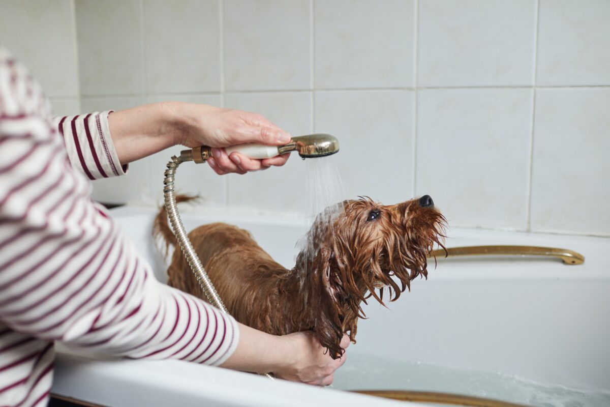 NextImg:If Your Home Smells Funny, Check These 7 Problem Areas