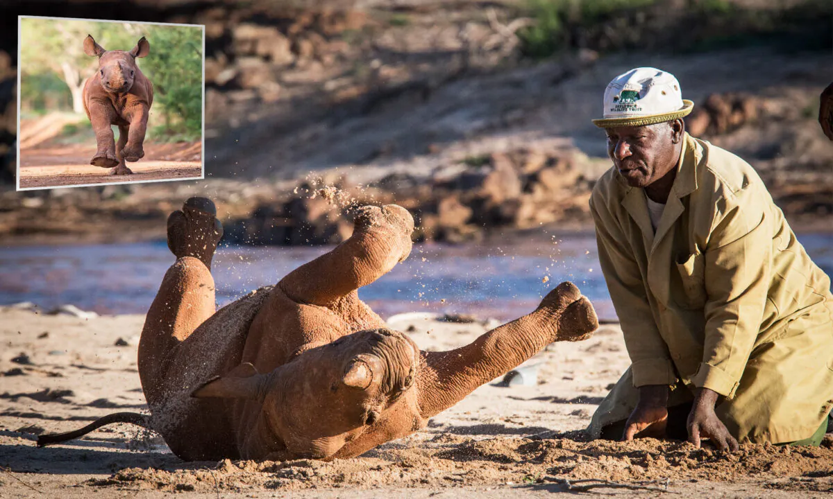 (© Sheldrick Wildlife Trust / Mia Collis)