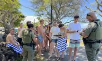 Hawaii Authorities Say 33 Swimmers Were Harassing Dolphins