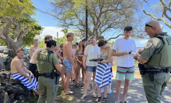 Hawaii Authorities Say 33 Swimmers Were Harassing Dolphins