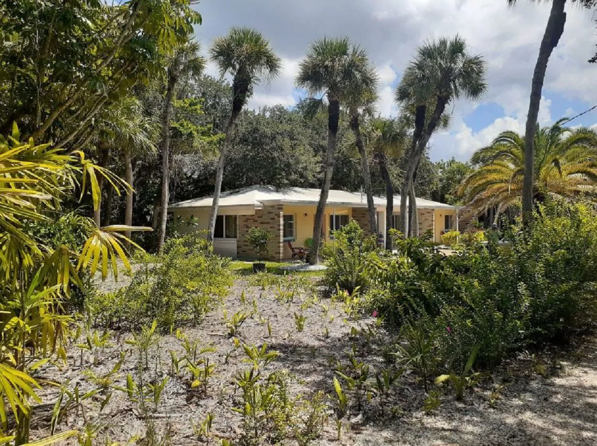 Mangrove Cove, a rental on Manasota Key that is committed to native landscaping and
preservation of its mid-century modern beach house. www.mangrove-cove.com (John Steffian)