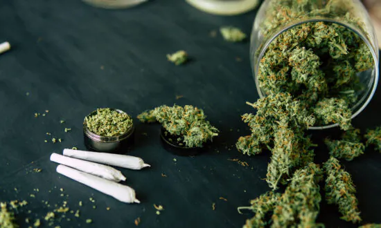 Vomiting Syndrome Linked to Cannabis Use Increased Sevenfold