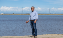 California Farmers Flood Fields to Boost Groundwater Basin