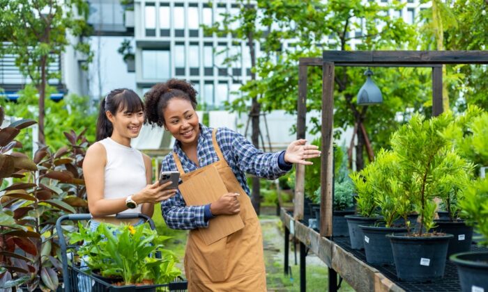 Gardening on a Shoestring Budget