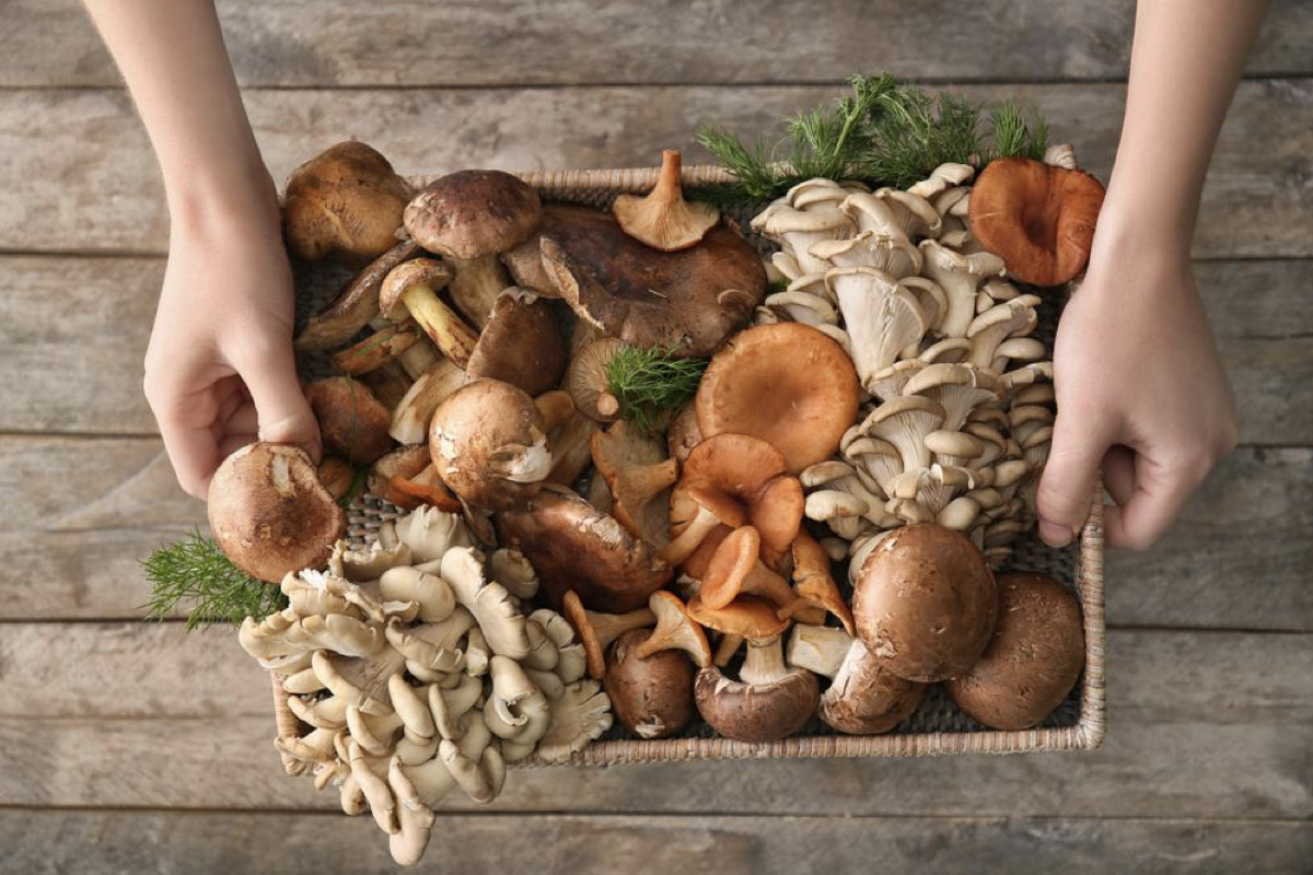 New Superfood? Mushrooms May Prevent Cognitive Impairment and Reduce Dementia Risk After COVID Infection - Vimarsana News