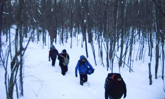 New Hampshire Lawmakers Approve Bill to Allow Arrest of Illegal Immigrants for Criminal Trespass