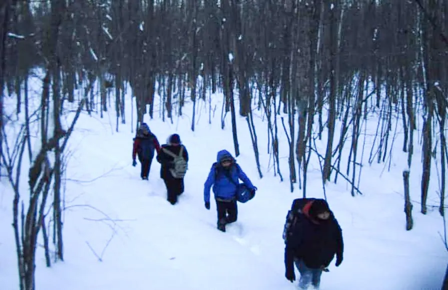 Illegal migrants walk through the snow in the Swanton Sector. (U.S. Border Patrol photo)