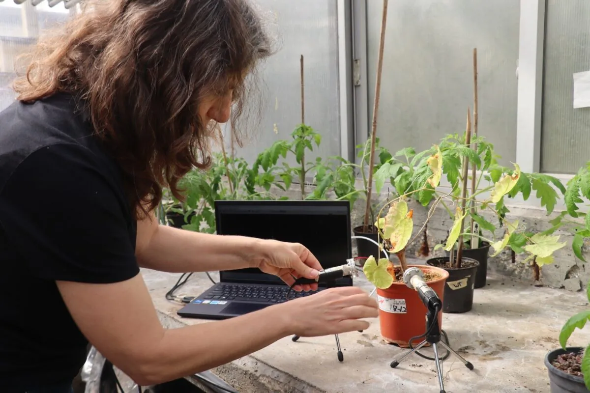 Lilach Hadany, professor at the School of Plant Sciences and Food Security at the Wise Faculty of Life Sciences, Tel Aviv University in an undated photo. (Courtesy of Tel Aviv University)