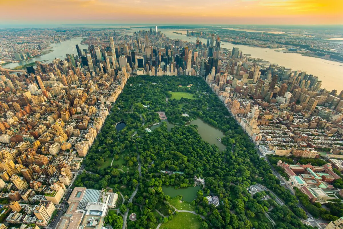 New York Central park aerial view in summer. (Dreamstime)