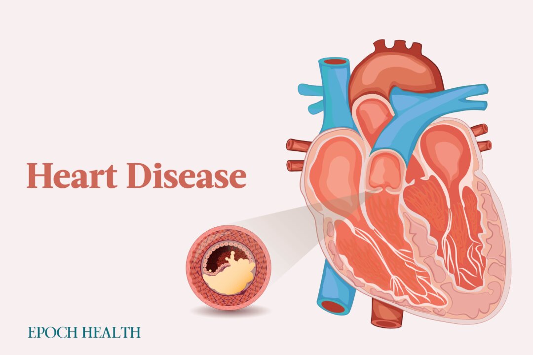 (Illustrations by Shutterstock, The Epoch Times)