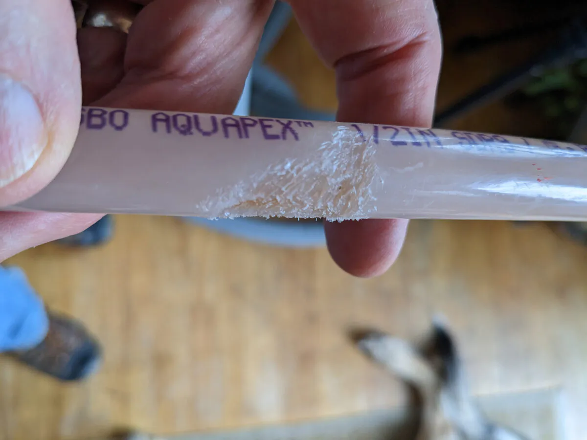 Marks are visible where mice have gnawed on the flexible PEX tubing. (Tim Carter/TNS)