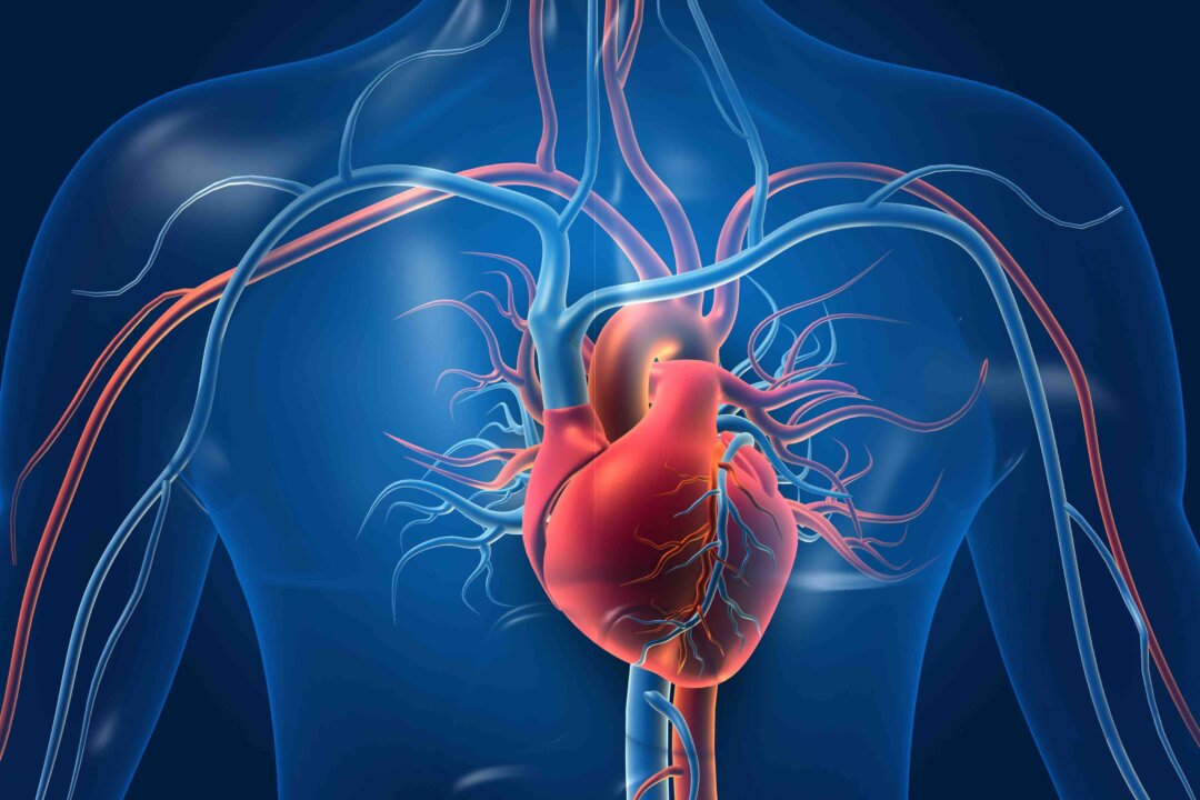 Human heart with blood vessels. 3d illustration (Shutterstock)