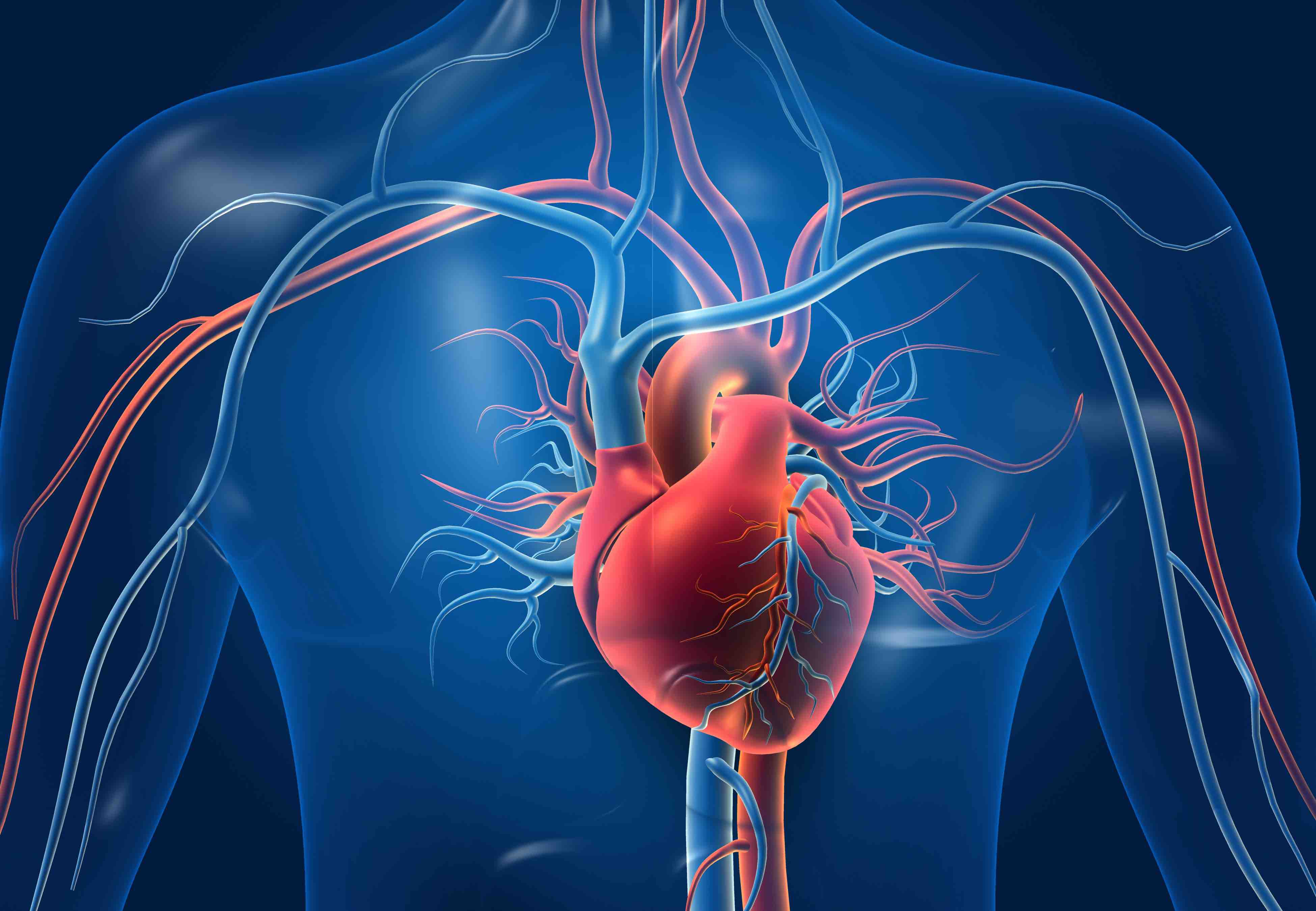 It Takes Only 1 Month to Cure Heart Problems? A Harvard Study Confirms the Existence of Pericardium Meridian - Vimarsana News