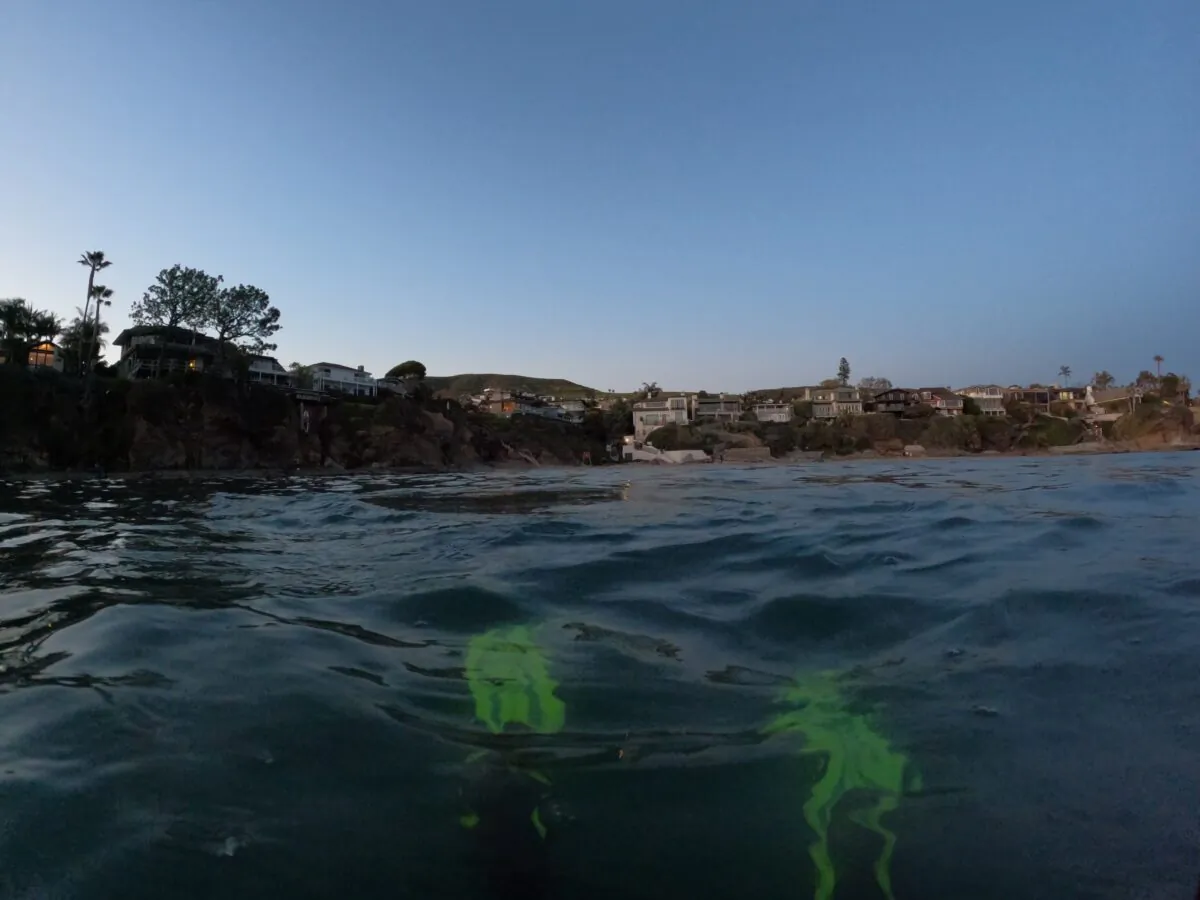 Shaw's Cove in Laguna Beach, Calif., on March 25, 2023. (Rudy Blalock/The Epoch Times)