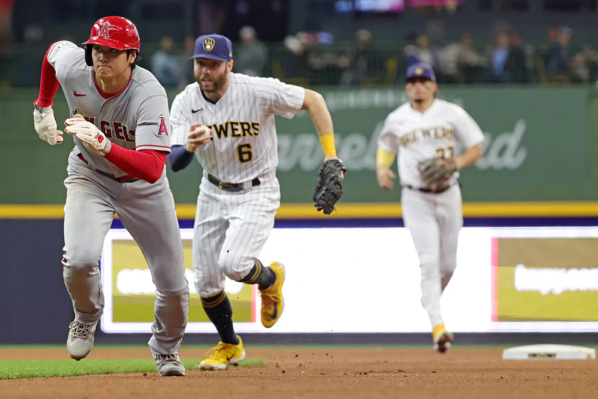 Shohei Ohtani (17) of the Los Angeles Angels is caught in a rundown by Owen Miller (6) of the Milwaukee Brewers during the sixth inning at American Family Field in Milwaukee on April 30, 2023. (Stacy Revere/Getty Images)